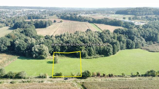 Działka rolna Syrynia gm. Lubomia