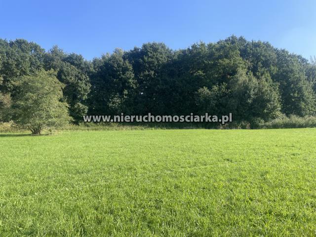 Działka rolna Syrynia gm. Lubomia