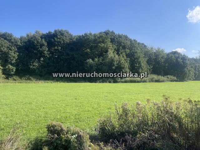 Działka rolna Syrynia gm. Lubomia
