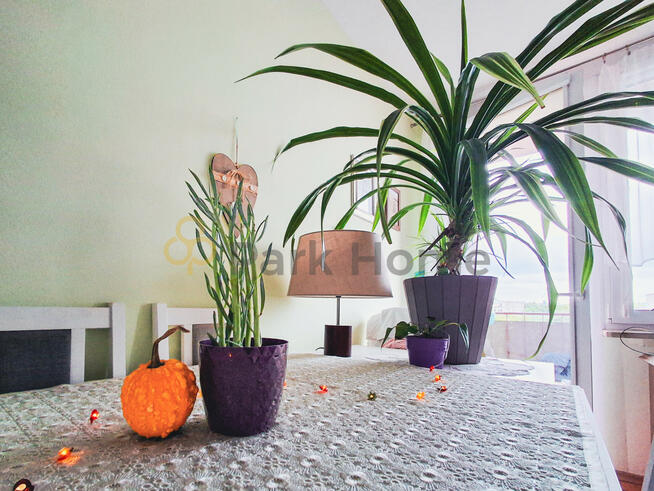 Mieszkanie Świebodzin, Osiedle Łużyckie