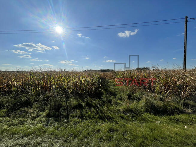 Działka rolna Starowiskitki gm. Wiskitki,