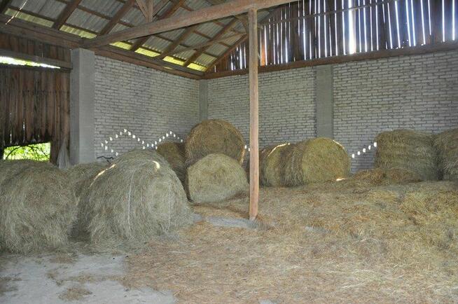 1/4 udziału w nieruchomości od syndyka- Zabłocie, gm. Kodeń