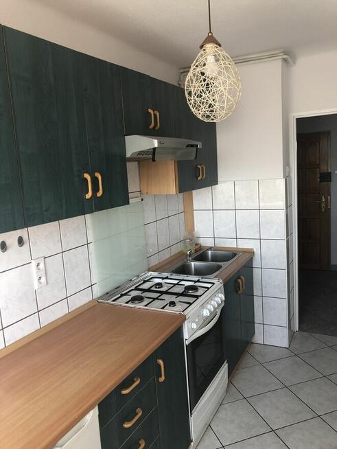 mieszkanie wynajmę , mieszkanie do wynajęcia , mieszkanie