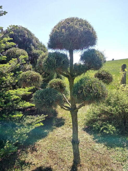 SPRZEDAM atrakcyjną działkę budowlaną 200 m od jeziora