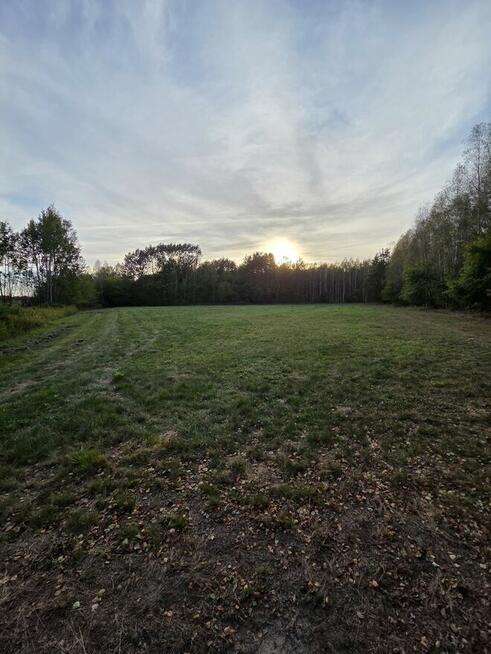 Sprzedam działki rolne położone w Knapach (Smykle)