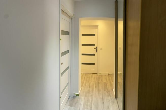 3 niezależne pokoje . ul.Armii Krajowej 89