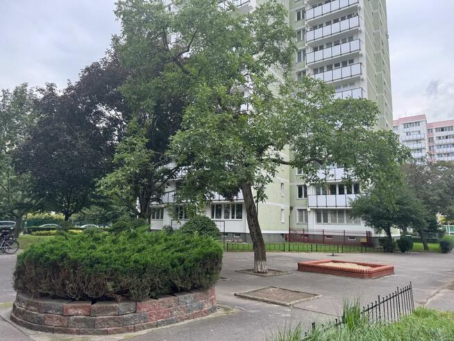 Do najmu przestronne i zadbane mieszkanie dwupoziomowe