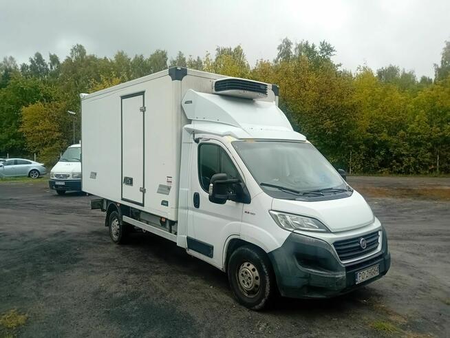 Ducato 2.3 Chłodnia Kontener