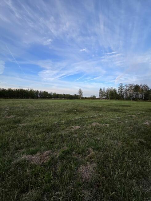 Sprzedam działki rolne położone w Knapach (Smykle)