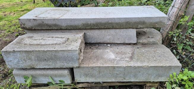 KRAWĘŻNIKI NAJAZDOWE.