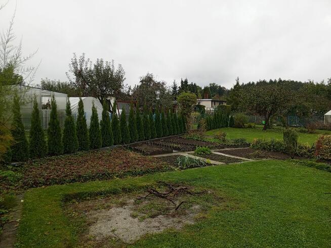 Działka Rod Rozkwit Wodzisław Śląski