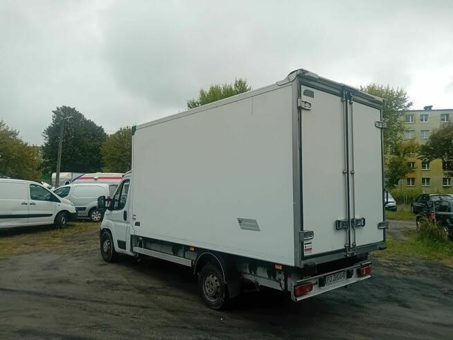 Ducato 2.3 Chłodnia Kontener