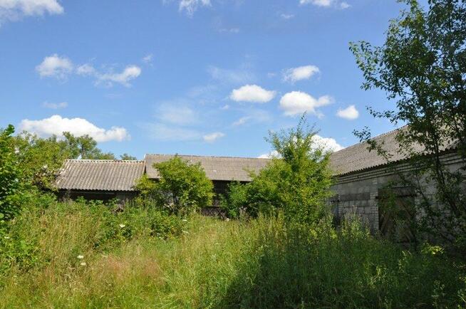 1/4 udziału w nieruchomości od syndyka- Zabłocie, gm. Kodeń