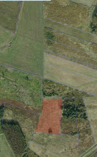 Sprzedam działki rolne położone w Knapach (Smykle)