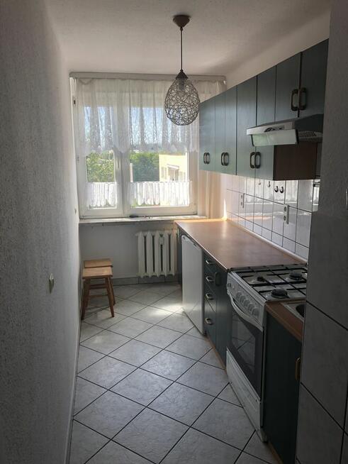 mieszkanie wynajmę , mieszkanie do wynajęcia , mieszkanie