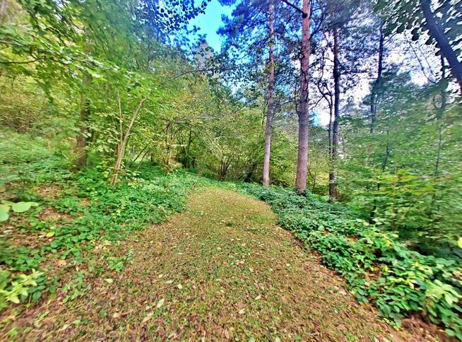 Działka w górach – Karlików, gm. Bukowsko | 2,95 ha z dojazd