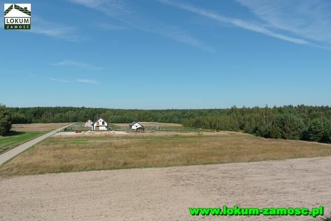 Działka w Zarzeczu gmina Zamość 0,22 ha