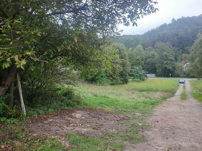 Piękne widokowe dzaiłki pod lasem