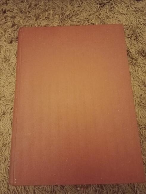 Tygodnik Ilustrowany 1931 rok