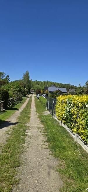 Domek nad jeziorem wśród lasów