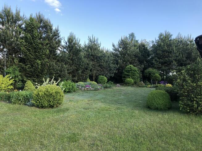 Sprzedam działkę z domkiem