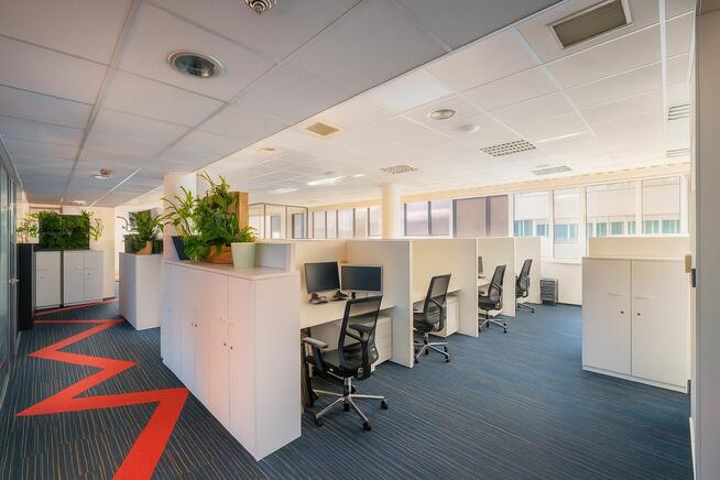 Biurko Dedykowane || Coworking || Lastadia Office ||