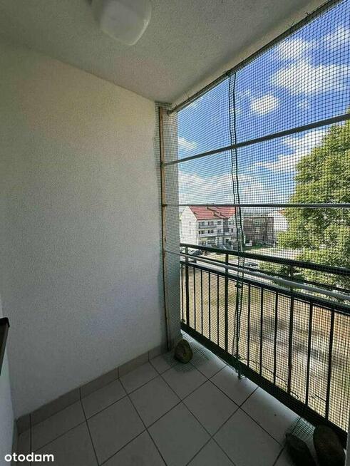 Przestronne mieszkanie w sercu miasta!