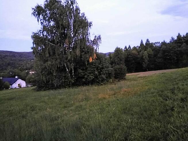 Działka w Beskidzie Niskim- Twoje miejsce na relaks i spokój