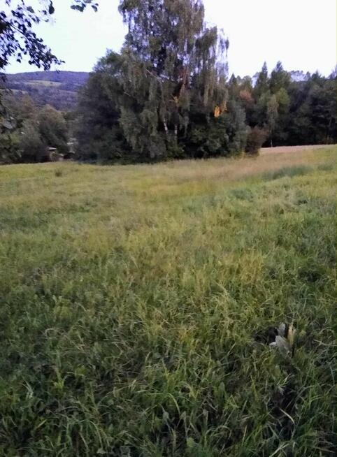 Działka w Beskidzie Niskim- Twoje miejsce na relaks i spokój