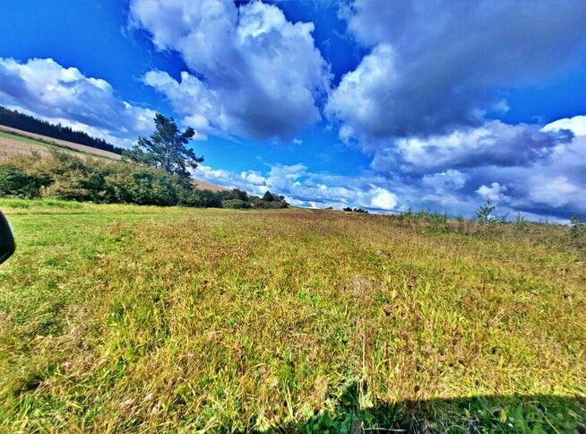 Działka w górach – Karlików, gm. Bukowsko | 2,95 ha z dojazd