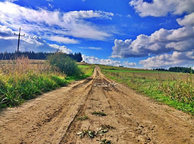 Działka w górach – Karlików, gm. Bukowsko | 2,95 ha z dojazd