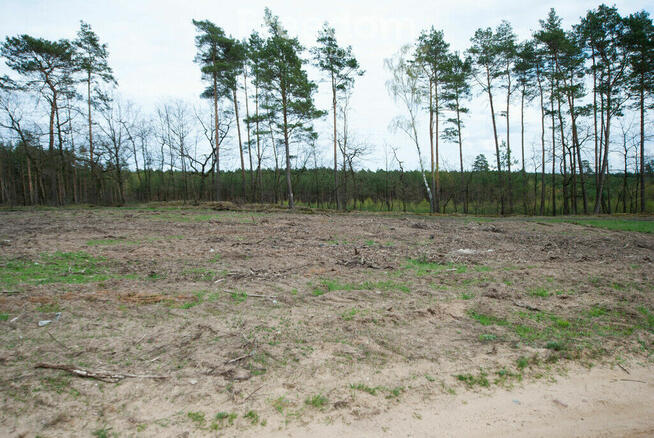 Działka budowlana przy stoku w Chodzieży