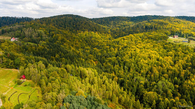 Działka rolno-leśna w Jodłówce Tuchowskiej