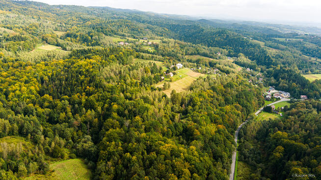 Działka rolno-leśna w Jodłówce Tuchowskiej