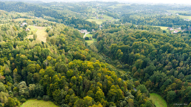 Działka rolno-leśna w Jodłówce Tuchowskiej