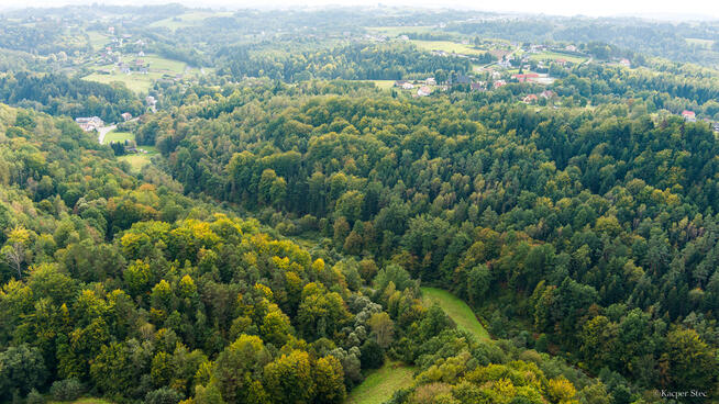 Działka rolno-leśna w Jodłówce Tuchowskiej