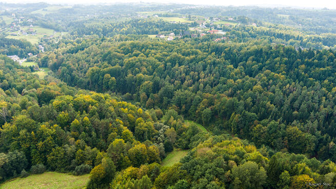 Działka rolno-leśna w Jodłówce Tuchowskiej
