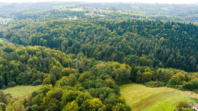 Działka rolno-leśna w Jodłówce Tuchowskiej