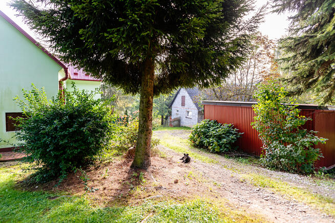 Na sprzedaż gospodarstwo rolne w Lichwinie