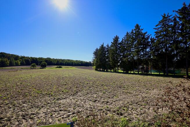 Działki | Ciechanów | ul. Leśna | 2367 m2
