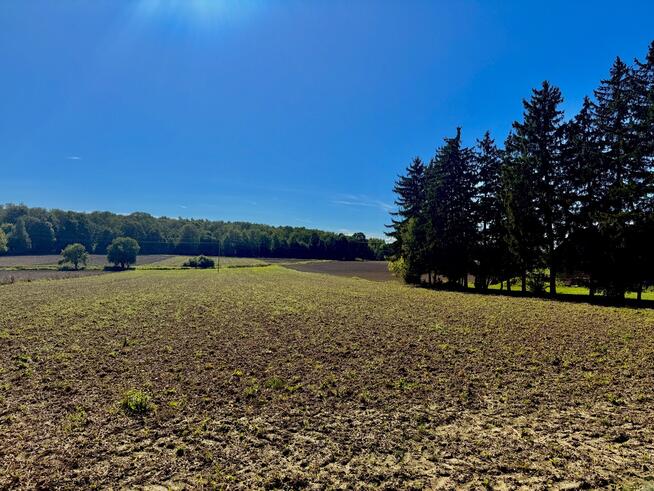 Działki | Ciechanów | ul. Leśna | 2367 m2