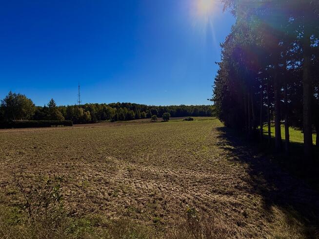 Działki | Ciechanów | ul. Leśna | 2367 m2