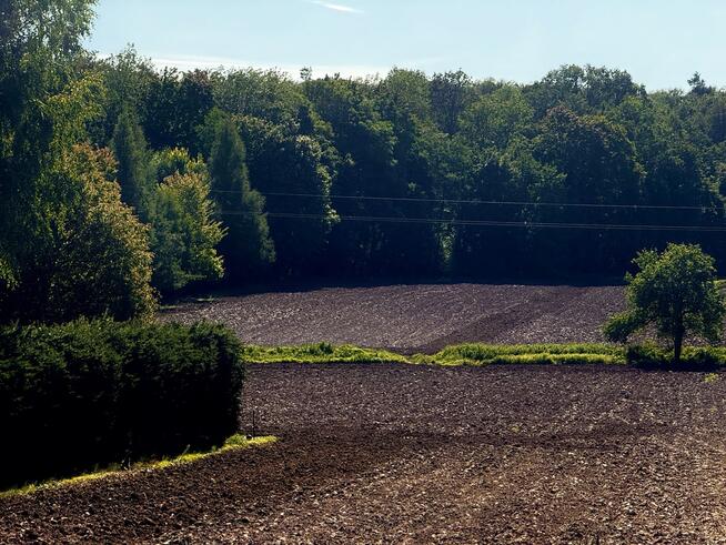 Działki | Ciechanów | ul. Leśna | 2367 m2