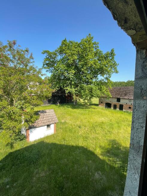 Działka Jabłonka Stara gm. Miedzichowo, Jabłonka Stara