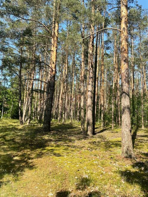 Działka Jabłonka Stara gm. Miedzichowo, Jabłonka Stara