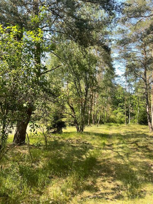 Działka Jabłonka Stara gm. Miedzichowo, Jabłonka Stara