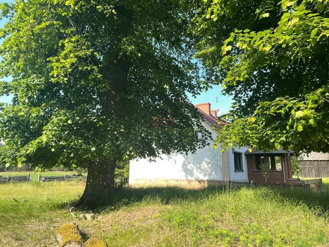 Działka Jabłonka Stara gm. Miedzichowo, Jabłonka Stara