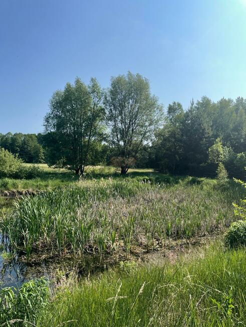 Dom Jabłonka Stara gm. Miedzichowo, Jabłonka Stara