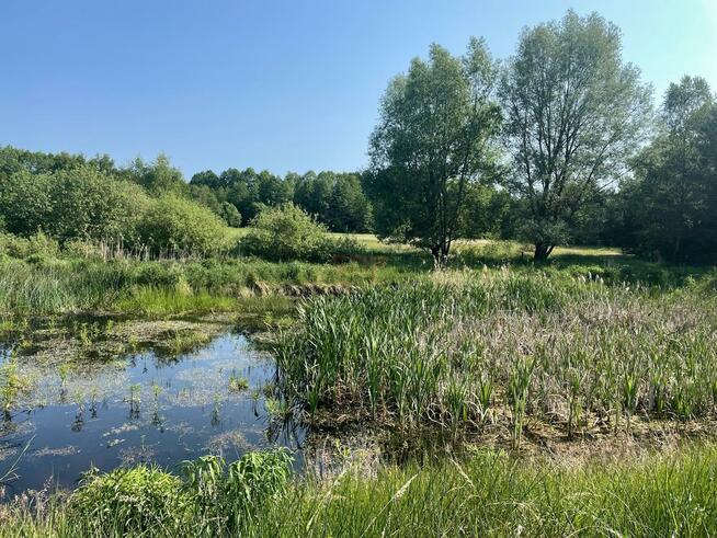 Dom Jabłonka Stara gm. Miedzichowo, Jabłonka Stara