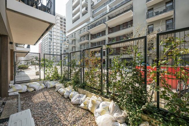 Lokal użytkowy Wrocław Stare Miasto, Przedmieście Oławskie, Walońska